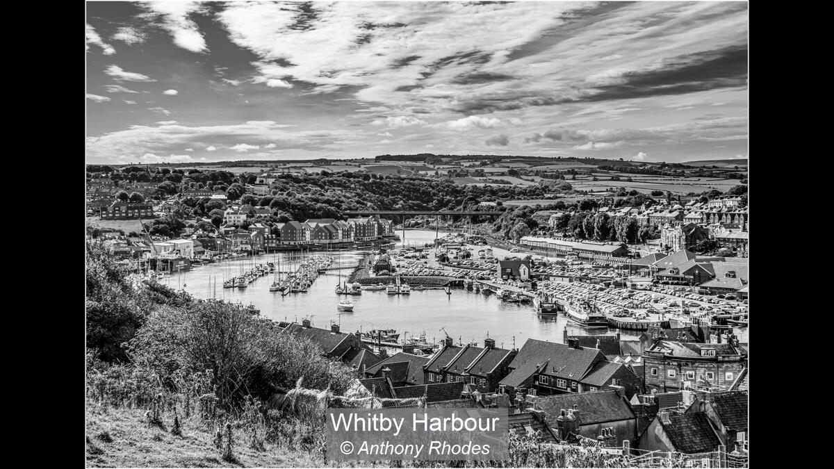 13_Whitby Harbour_Anthony Rhodes